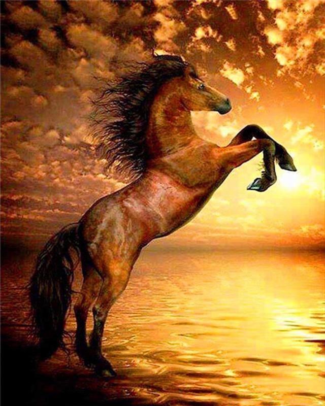 Diamond Painting Coffee Flower Landscape Seaside 5D DIY Diamond Embroidery Sale Tiger Animal Cross Stitch Rhinestones Mosaic Handmade Gift