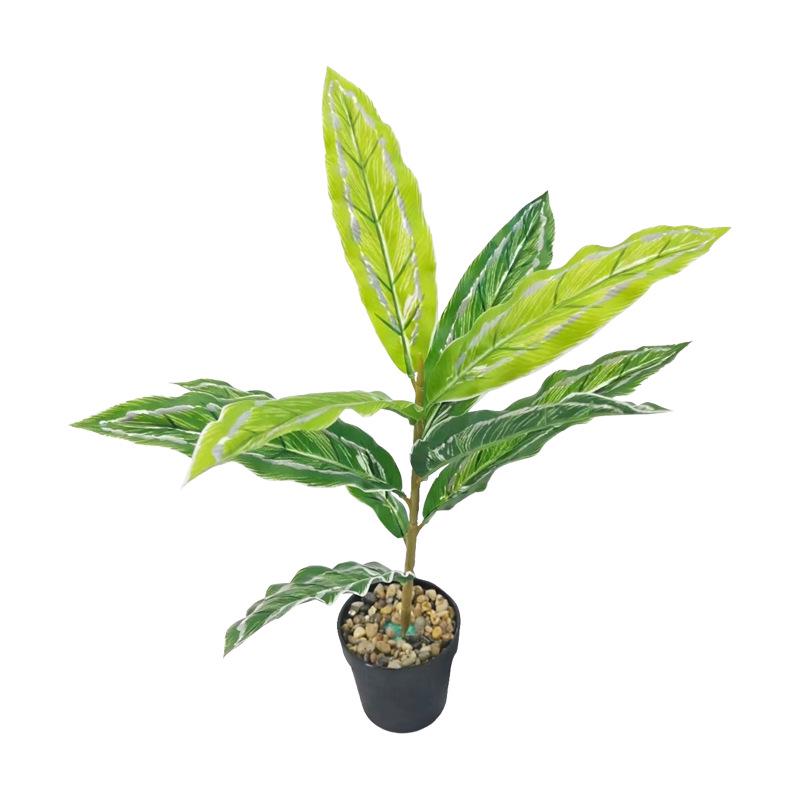 Desktop Rubber Tree & Aspidistra Potted Plant - Bionic Green Landscape Ornament