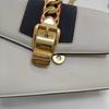 [Pre-Owned] Sylvie Gold Buckle Striped Web Chain Leather Mini Square Crossbody Bag - Good #1JODX7F