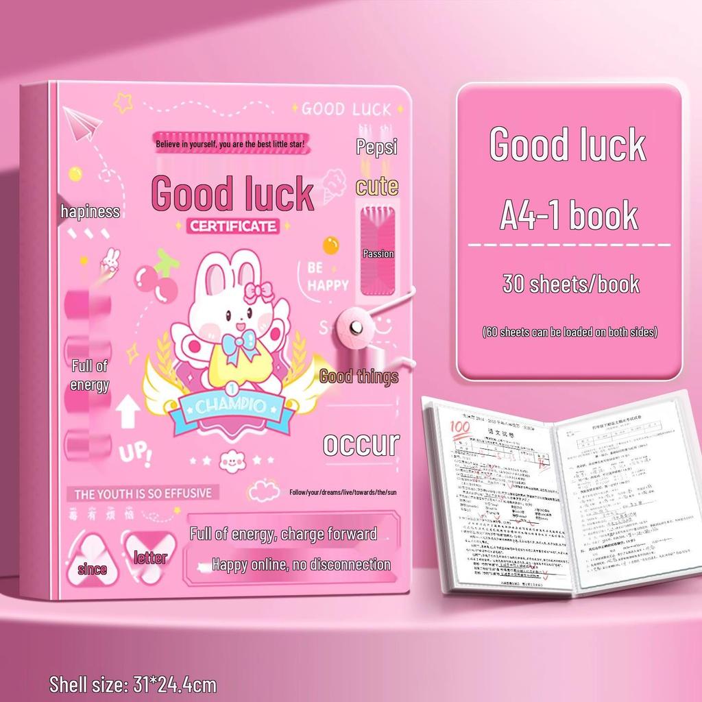 A4 Multi-Layer Transparent Document Folder with Loose-Leaf Inserts for Students