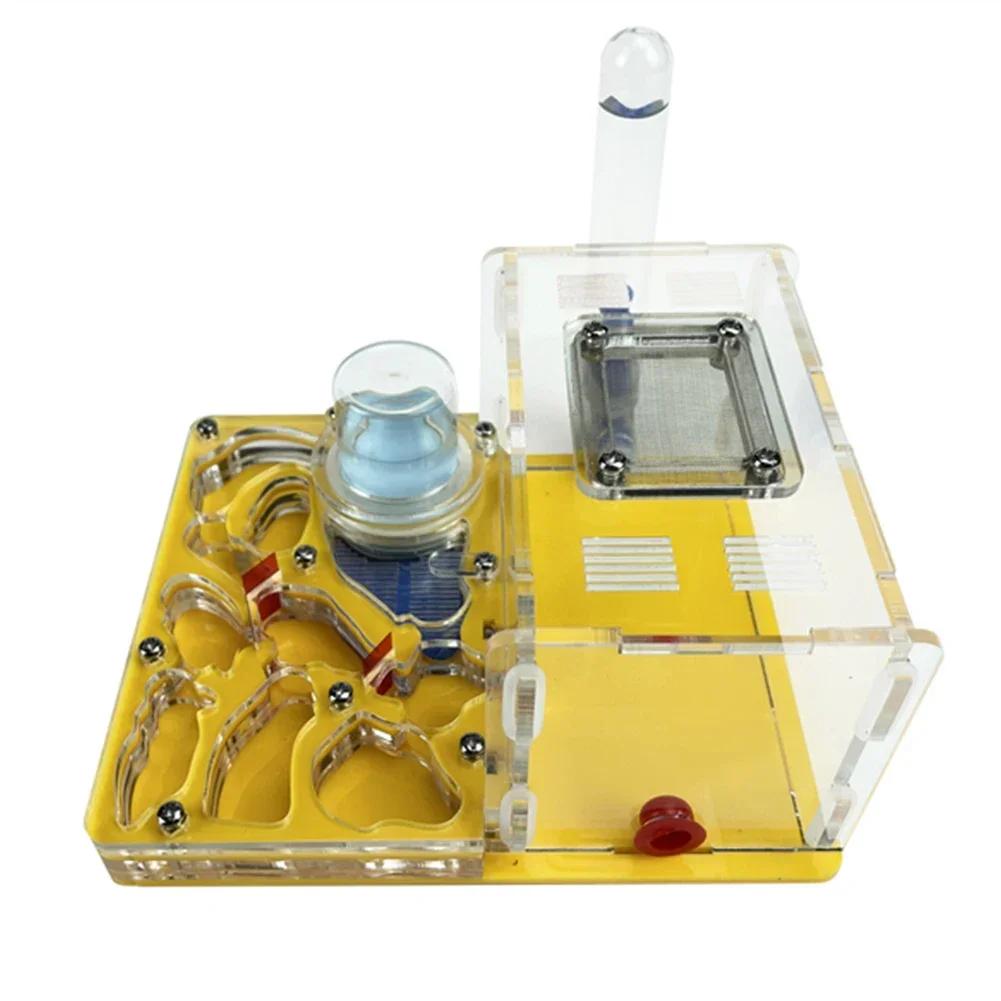 DIY Acryl Flat 3D Ant Farm Ant Nest with Feeding Area Ant House Insect Villa Pet Anthill Workshop with Moisturizing Water Tower