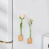 Natural Wood Base Test Tube Flower Vase With Magnetic Designs Refrigerator Magnet Vase For Home And Office Decors