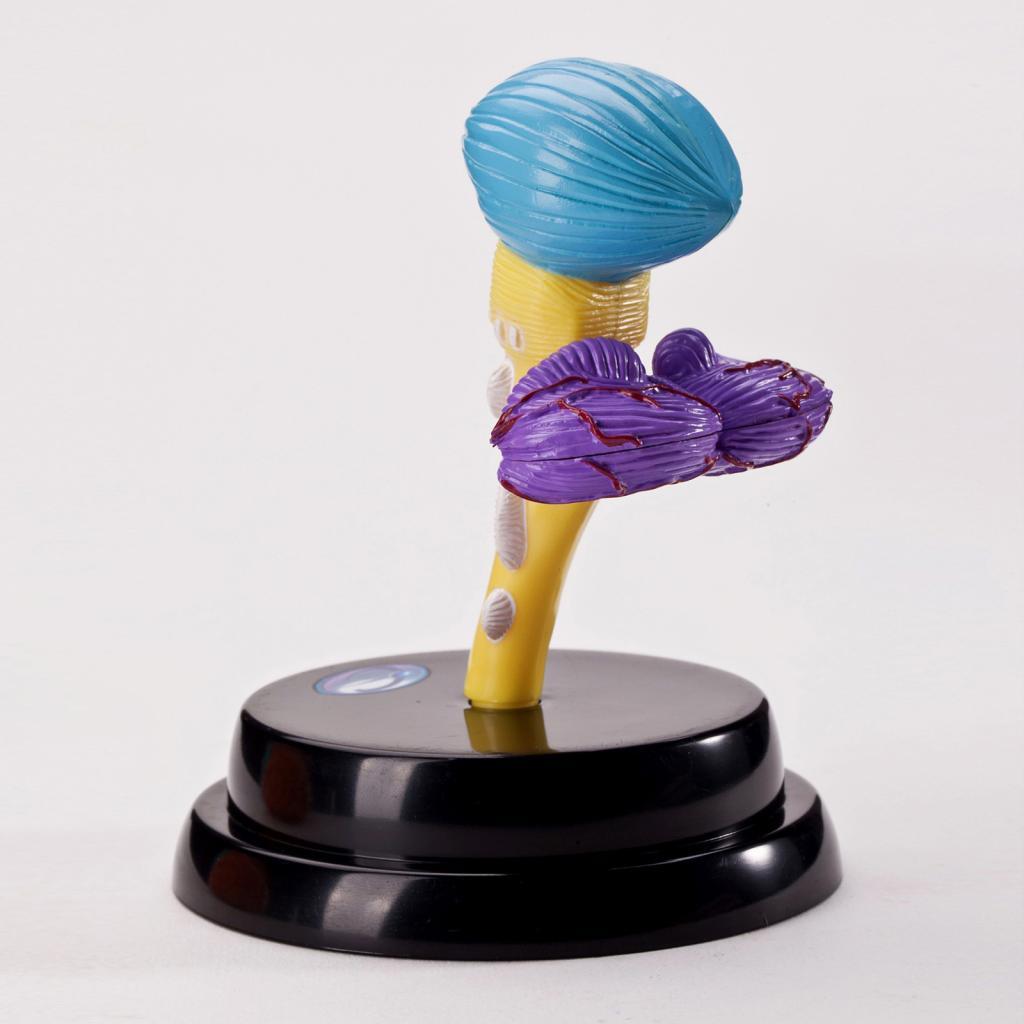 Model Disassembled Educational Toy for Teaching