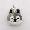 New KPOP Skzoo Plush Keychain Korean Ide Pendant Toy Keychain Fan Collection Giftsol Felix HyunJin Jisung Plush Cartoon