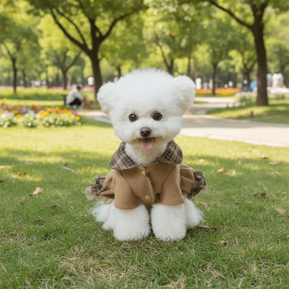 Thickened Pet Plaid Skirt Windproof Comfortable Autumn Winter Dog Dresses Skin-Friendly Soft Dog Lace Bow Coat Outdoor Walking