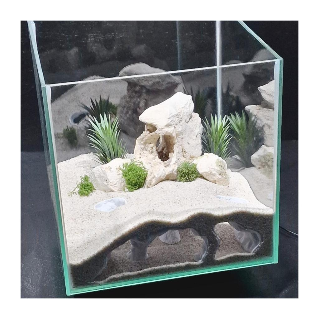 Natural Aquarium Cave: Fish & Shrimp Habitat and Breeding Nest Decoration