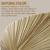 Fresh 4 Pieces Natural Dried Palm Leaves Home Furnishing Palm Leaves Perfect For Palm Leaf Decor, Boho Decor, Home Decor, Weddin