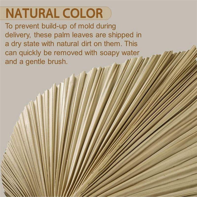 Fresh 4 Pieces Natural Dried Palm Leaves Home Furnishing Palm Leaves Perfect For Palm Leaf Decor, Boho Decor, Home Decor, Weddin