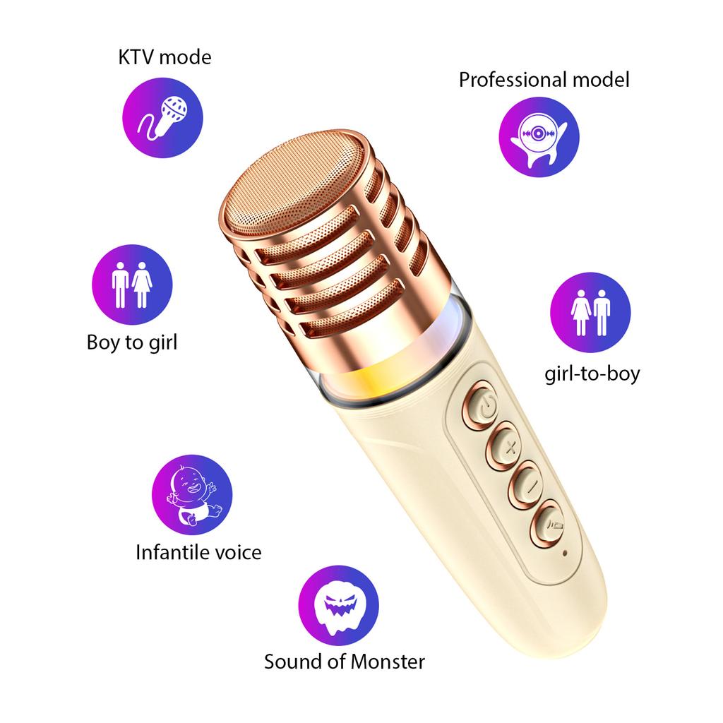 Karaoke Machine with 2 Wireless Microphones BT Microphone and Speaker KTV Set with RGB Light