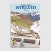 PRZEŁĘCZ STELVIO Kolarstwo Plakaty Vintage Sztuka Ścienna Obraz Metalowy Ogród Blaszany Znak Dekoracja Wnętrza Domu Pokoju Wystrój Ścienny