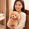 Roztomilý plyšový pejsek se zvonečkem Štěně Labrador Zlatý retrívr Bišonek Kawaii zvířátko Panenka Sedící Ležící Uklidňující Dárek