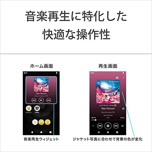 Sony Walkman NW-A307 64GB A300 Series MP3 Player Touch Panel Wireless Hi-Res Audio Bluetooth Android Streaming LDAC aptX HD MicroSD Support Black