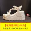 Platform Sandals Women's 2025 Summer New Fashion Versatile 10cm Height Increase Women's Shoes Wear Casual Muffin Cold Slippers