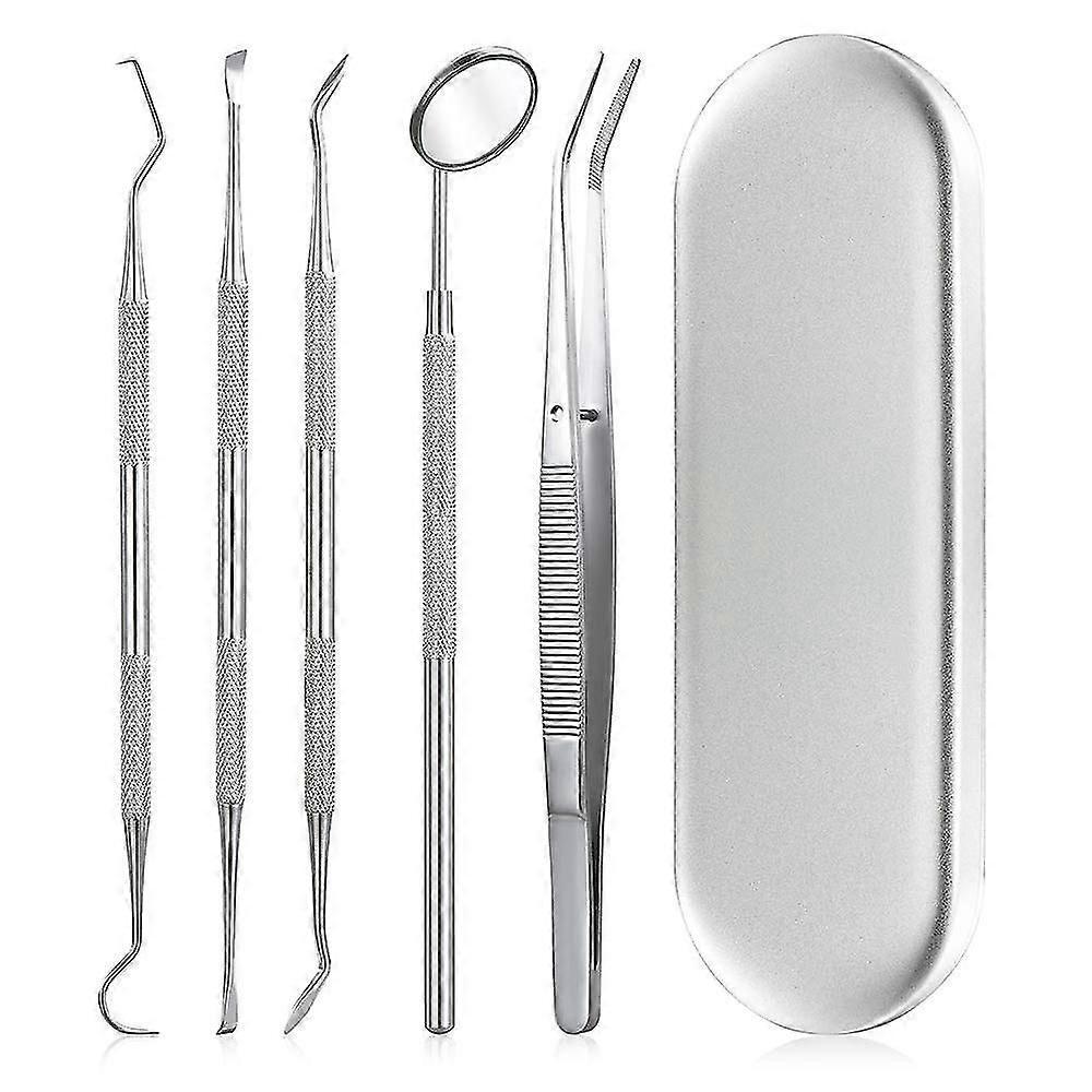 Dental Tools, 5 Pcs Professional Teeth Cleaning Tools Stainless Steel Stainless Steel Dental Scaler, Mouth Mirror, Tarter Scraper, Tooth Pi, Tweezer