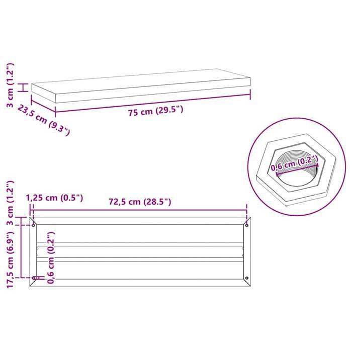 VidaXL Étagères murales 2 pcs 75x23,5x3 cm noir acier inoxydable, étagère flottante, étagère murale d'exposition, panneau 30292