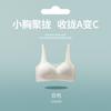 Fixed Cup Seamless Underwear Women Gather Small Breasts and Show Large Steel Ring Bras Close Secondary Breasts Anti-sagging Flat Chest Bra Cover