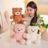 Cute Sitting Bear Teddy Bear Doll Plush Toy Hug Bear Children Soothe Rag Doll Girl Birthday Gift