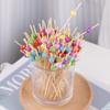ZISIZ Disposable Bamboo Fruit Cocktail Skewers
