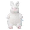 Cute White Rabbit Plush Toy - Pillow and Bedtime Doll Gift for Girls