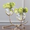 Glass Vase with Golden Branches, Transparent Brass Bracket, Home Decoration Flower Vase, Tabletop Flower Arrangement Accessories