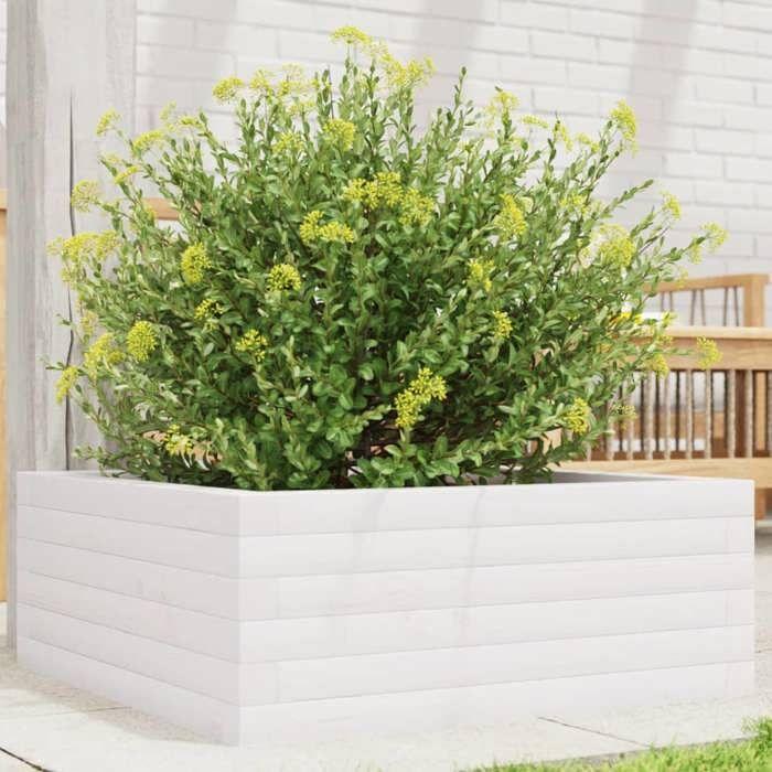 VidaXL Planter White 60x60x23 Cm Solid Pine Wood, Outdoor Planter, Flower Box, Plant Box, Planter of 847189