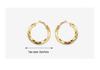 18K Gold-Plated Titanium Steel Twisted C-Shaped Earrings - Hong Kong Style