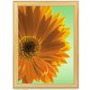 KOKUYO Picture Frame Natural Hinoki Certificate A3 Ka-252