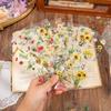 Yuxian Waterproof Plant Die-Cut Stickers for DIY Journals, Pet Decoration, and Card Collage