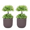 Set of 2 Artificial Topiary, 22x10 Cm, for Home/Office Décor, Greenery In Brown Plastic Pot