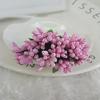 12 Pièces Baies Artificielles Mini Baies à Pépins Artificielles Violettes Décor Réaliste pour Mariage Fête Guirlande DIY Scrapbooking