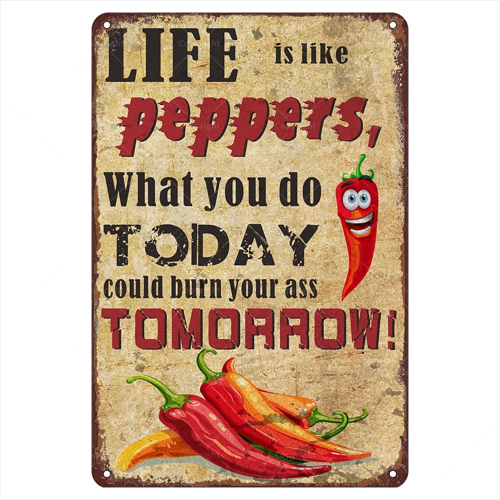 

1nLife Is Like Peppers Metal Tin Sign Funny Vintage Signs Wall Art Decor For Kitchens And Homes Gift For Chili Lovers Dur aluminum 20x30cm