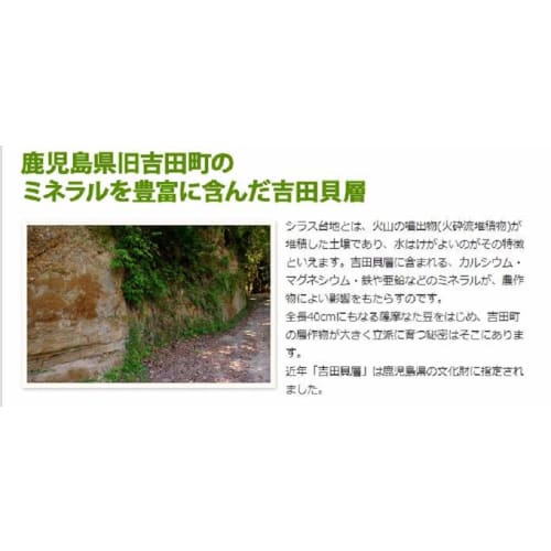 [Set of 2] Satsuma Nata Bean Toothpaste 110g (Made In Kagoshima)