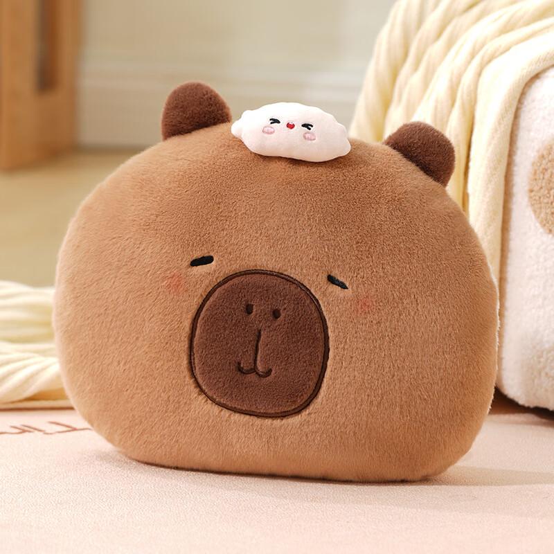 Cartoon Plush Electric Hand Warmer & Hot Water Bottle