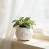 3D Printed Cute Pig Planter Cartoon Animal Shaped Cactus Flower Pot with Drainage Hole for Home Office Desk Decor