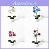 Butterfly Orchid Faux Potted Plant Waterproof Greenery For Home Office Decor