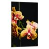 SZKLANA DESKA DO KROJENIA 30x52 Orchidea