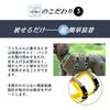 Hakusan Ultra Zero Cushion Harness (Gray x Mint, Small)