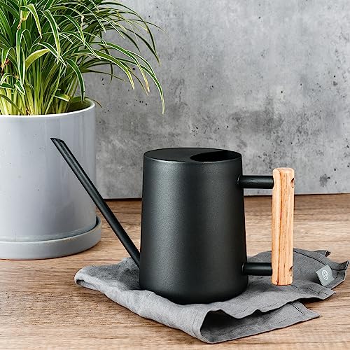 IMEEA Watering Can, 1000ml, Stainless Steel with Wooden Handle, Stylish Gardening Tool, Black