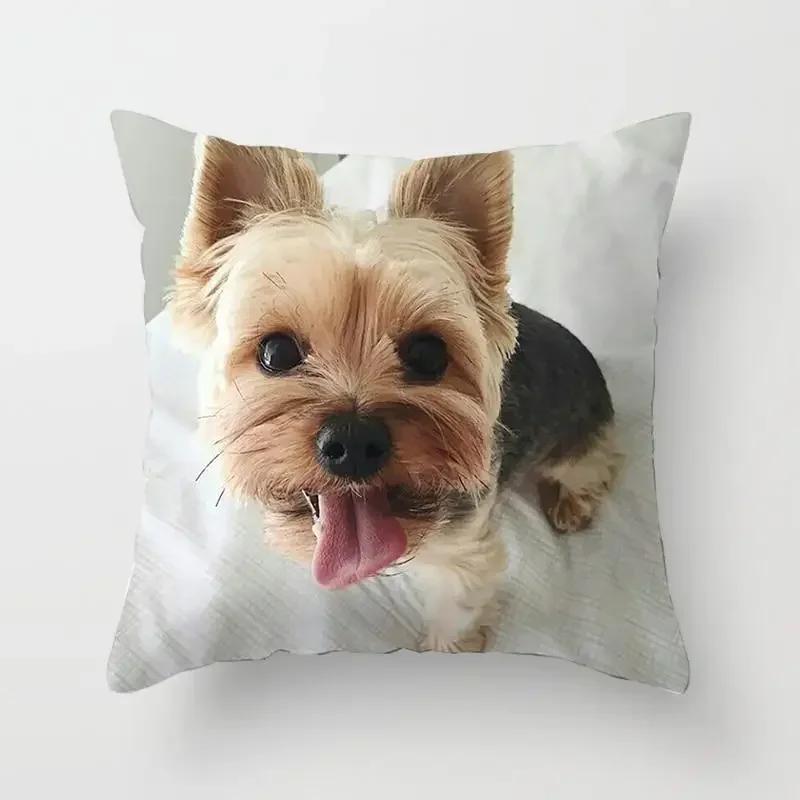 Schlafzimmer Sofa Lendenkissenbezug Auto   Niedlicher Yorkie Bichon Frize Yorkshire Druck Kissenbezug