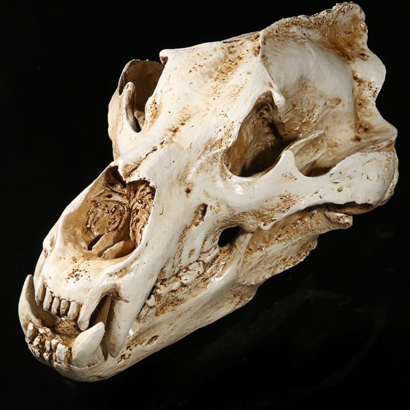 Movie Props Animal Model High Precision 1:1 Resin Crafts North Bear Skull