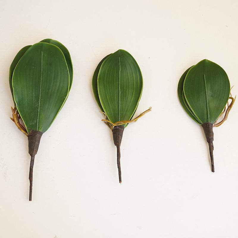 Simulation Phalaenopsis Leaves 1pc Auxiliary Touch Decorative Plants Flowers Artificial DIY Real Flower Leaf Material Spring