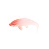 5Pcs Carp Fish Figurine Goldfish Figure Toy Model Statue Sculpture Fish Tank Aquarium Dollhouse Decoration Festival Gift