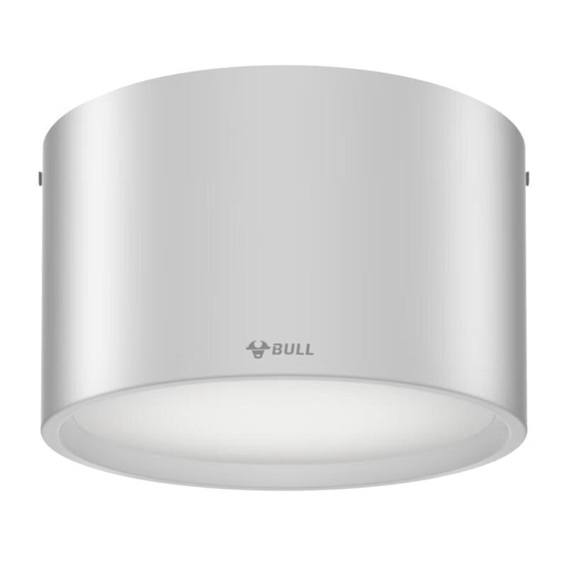 BULL LED Surface Mount Downlight