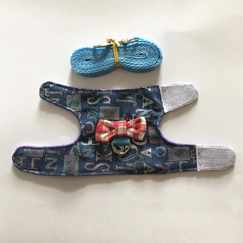 Adjustable Leash and Harness for Small Pets: Rabbit, Chinchilla, Ferret, Squirrel, Hamster, Guinea Pig, Mouse