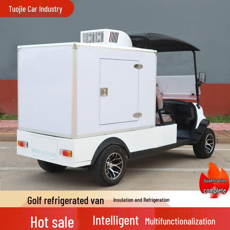 Electric Sightseeing and Delivery Van for Hotels and Campuses