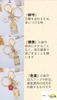 Villageriver Japanese Souvenir Keychain Set - Mt. Fuji, Cherry Blossom, Maneki-neko, Omamori (3 Omamori Included)