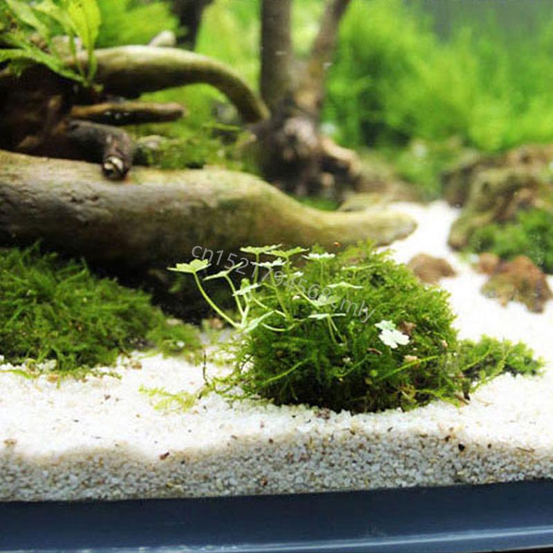Natural Mineral Aquatic Moss Ball for Aquarium Crystal Red Shrimp Fish for Tank 6XDE