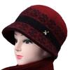 Winter new hat female old lady outdoor cold proof velvet warm big brim knitted wool hat