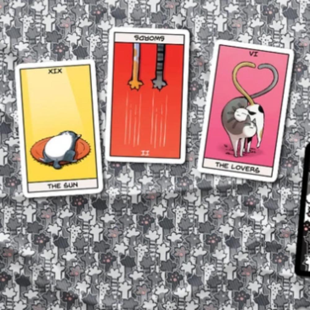 Catomancy Tarot Soft Cat Paws A Complete 78 Tarot Deck From Your Personal CATOMANCER 10.3*6cm