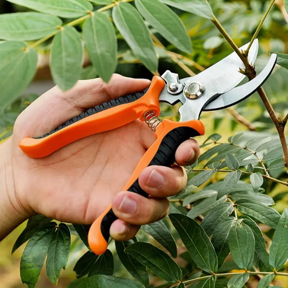 Garden Pruning Scissors for Trees and Flowers